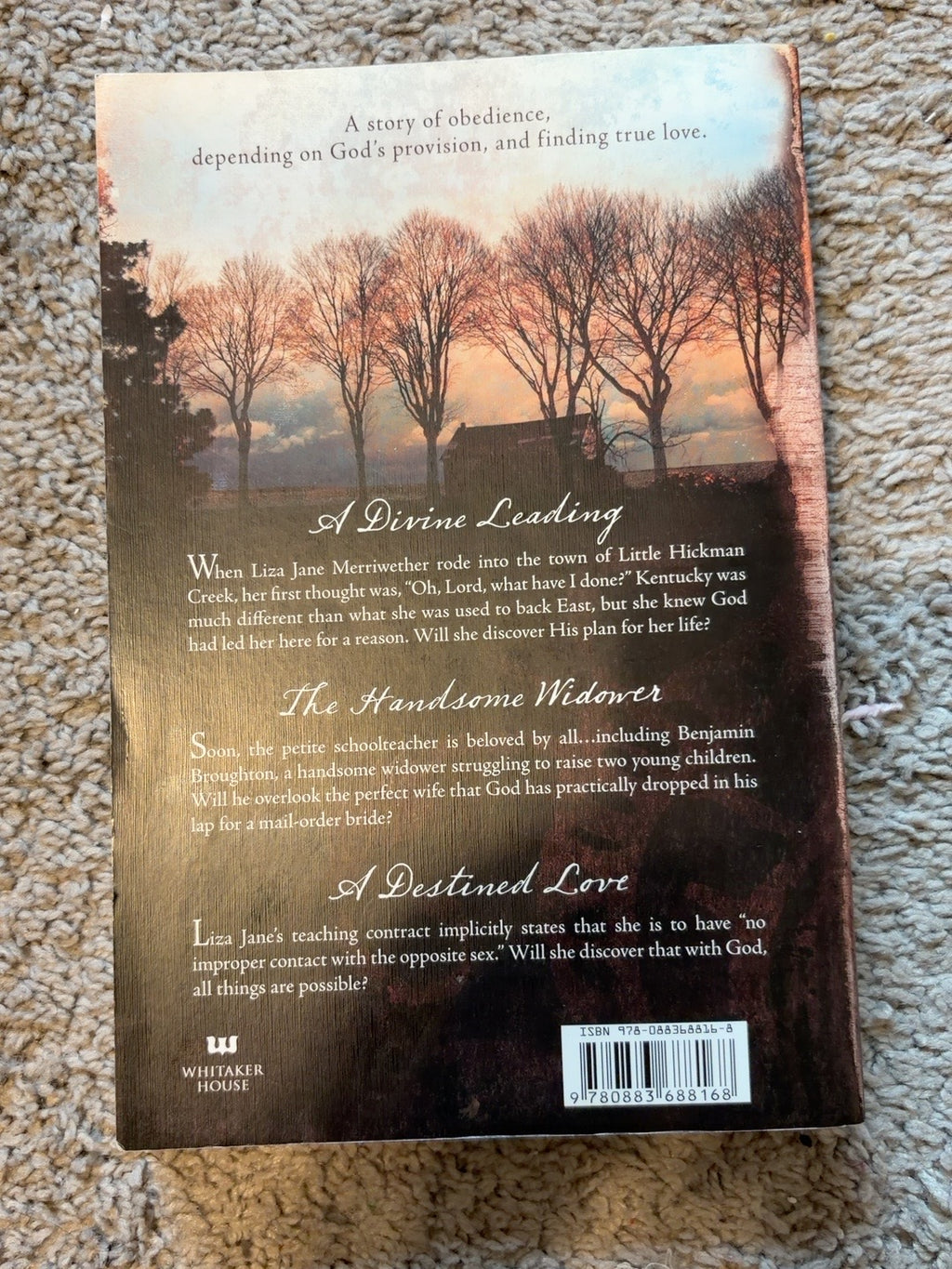 Loving Liza Jane by Sharlene MacLaren — actual used copy, back cover