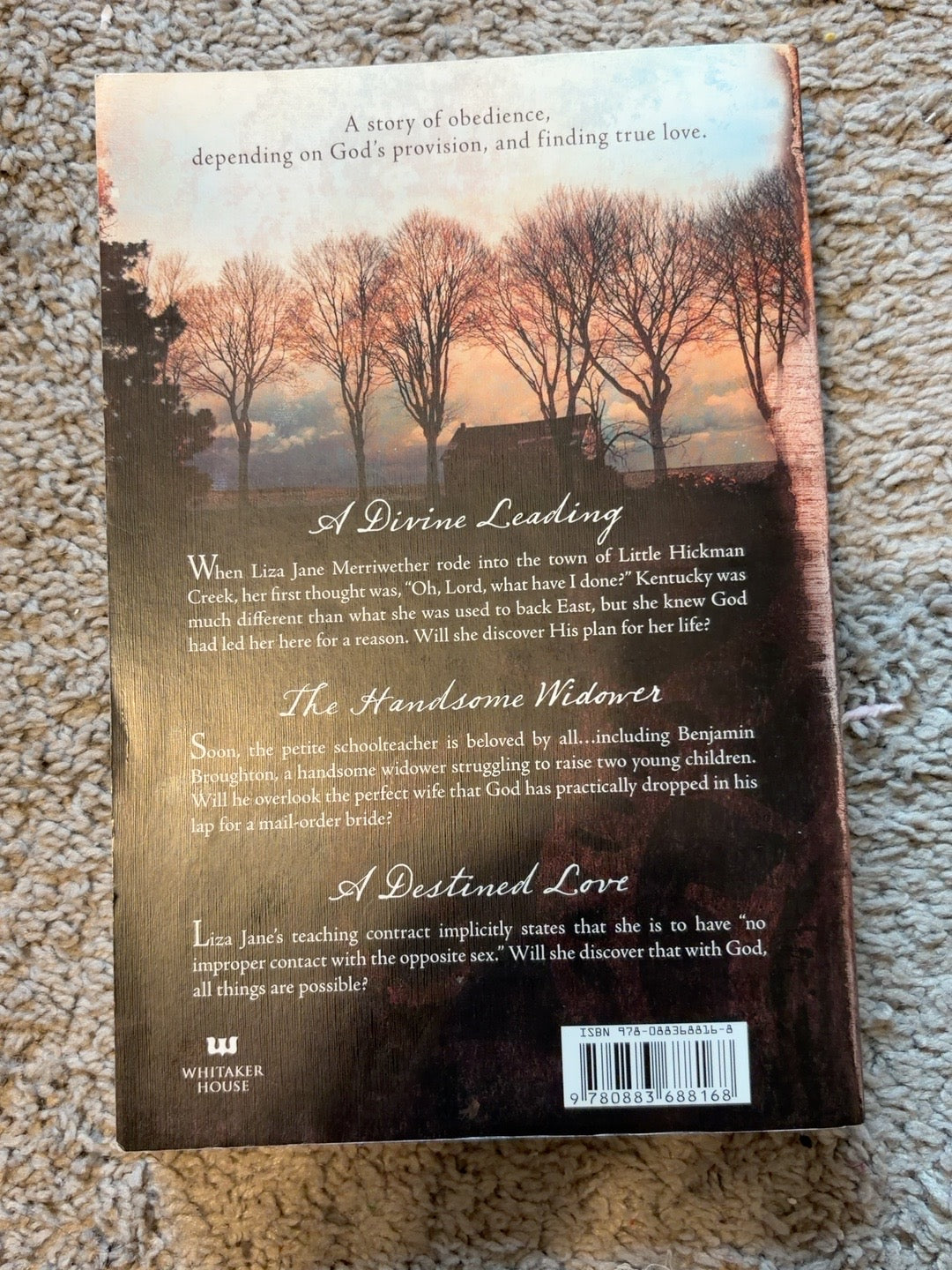 Loving Liza Jane by Sharlene MacLaren — actual used copy, back cover
